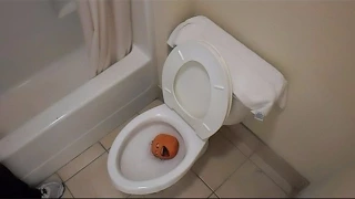 the stupid orange in royal flush of trains