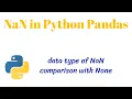 NaN Not a Number in Python Pandas