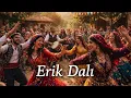 Erik Dalı Best Of Anatolian Psychedelic Rock Cover 2026