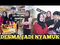 Download Lagu SEHARIAN DESMA JADI NYAMUK RIO AMEL! SAMPE MARAH