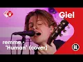 Download Lagu remme - Human (The Killers cover) | NPO Radio 2