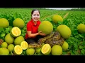 Download Lagu Harvesting 100 To Nu Jackfruits \u0026 Go To Market Sell - Big python running away in tree | Lý Thị Hằng