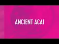Ancient Acai Recipe Pitaya Foods