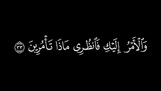 كامل يوسف البهتيمي سورة النمل كروما سوداء دندنها
