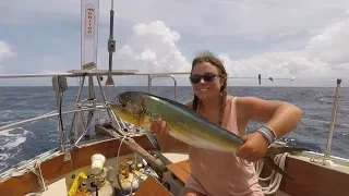 E23: Five Days Alone at Sea, Catching a Huge Dorado