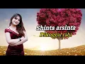 Download Lagu SHINTA ARSINTA - DITINGGAL RABI   |  LIRIK LAGU