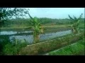 Download Lagu pitutur luhur bab tasbih sery 11 PARSONO AGUS WALUYO