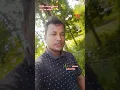 Download Lagu tare gulabi galose 🥺🥺#viral #song #shortsviral #shortsfeed