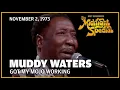 Download Lagu Got My Mojo Working - Muddy Waters | The Midnight Special