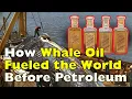 Download Lagu De vergeten brandstof: hoe kon walvisolie de wereld verlichten voordat er aardolie bestond?