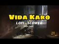 Vida Karo - Lofi [Slowed + Reverb] | Arijit Singh, Jonita Gandhi, A.R. Rehman | Lofi Vibess