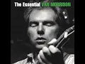 Wild Night - Van Morrison