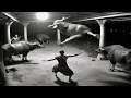 Download Lagu Tahan Tawa 😂 Kumpulan Video Lucu Bikin Ngakak! Asupan Meme Absurd