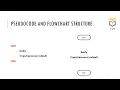 Programming Logic and Design Chapter1 - 01 Pseudocode and Flowchart Symbol