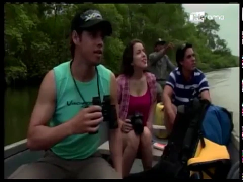 Día Internacional de conservación del Ecosistema de Manglares