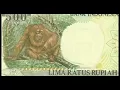Video lucu monyet nyanyi
