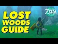 LOST WOODS GUIDE ZELDA TEARS of the Kingdom Legend of Zelda Tears of the Kingdom Gameplay