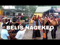 Pecah Tangisan Satu Kampung Ana Nuka Sao Belis Adat Nagekeo