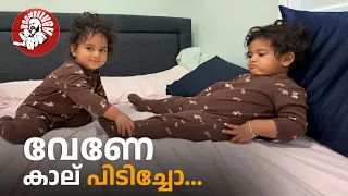 Daily Vlog EP.209 | വേണേ കാല് പിടിച്ചോ... | Family Vlog | Malayalam | New Zealand | @BoomBaangh