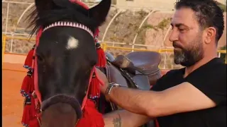 اغنية الجبل بركان والطوفان جارف   اغنية جديدة مفيد طحطح  والفنان قتيبة طحطح    الدروز  السويداء دندنها