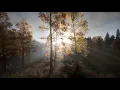 Morning Meditation, Positive Energy, Inner Peace, Soothing Music, Yoga