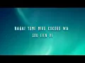 Crossing Field - LiSA | ROM Lyrics