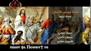 افلوجيمينوس دندنها