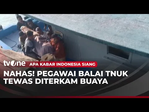 Pamit Periksa Rumpon Ikan, Pegawai Balai TNUK Diterkam Buaya