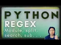 Python 101 from Beginners to Advanced REGEX