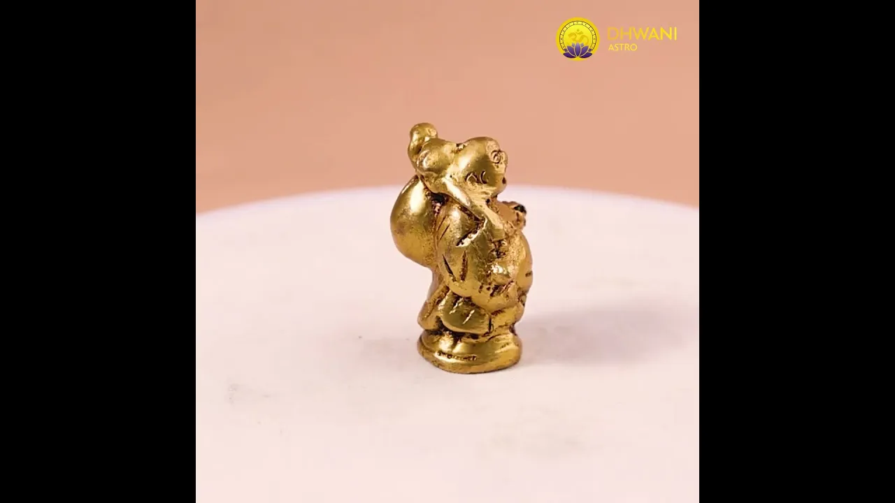 Brass Laughing Buddha with Bowl & Bag