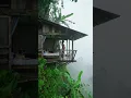 Download Lagu suasana hujan di pegunungan #asmr #pemandangansungai #banjirsegamat #nature