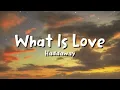 Download Lagu Haddaway Waht is Love Iyrics 1h