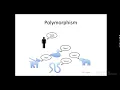 Encapsulation and Inheritance in Vb net Net Programming Part 9