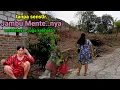 Download Lagu Jambu Mente Kampung Gunung Pengantin Tikar pandan \u0026 tradisi Dandan necis di Sawah hutan para Wanita.