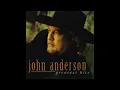 John Anderson: Seminole Wind