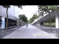 Gareth Fernandez  - I Really Like You Parody