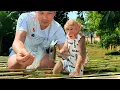 Download Lagu Monkey Bibi Helps Dad Build a Beautiful Bamboo House!