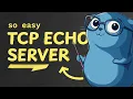 Building a TCP Echo Server in Go Networking Basics