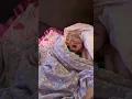 I can t believe dad asked that my precious newborn baby communicating in a sweet way