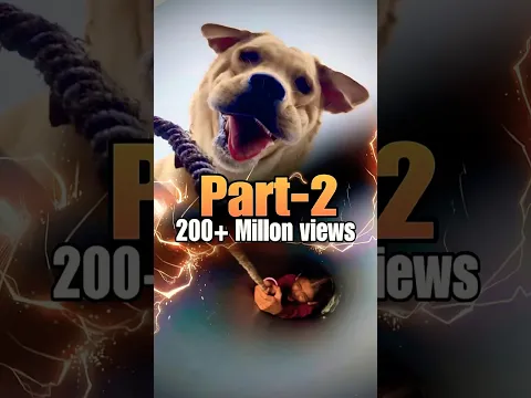 💕Purest Dog Love story-2❤️watch till end❤️ #labrador #doglover #goldenretriever #doglove #puppies