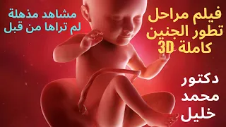 شاهد مراحل تكون الجنين من الأسبوع الأول إلى مرحله الولاده مشاهد تراها لأول مرة 