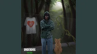 underdog