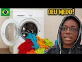 Download Lagu 👉 MINHA PRIMEIRA VEZ COM MÁQUINA DE LAVAR! CHOCADO 😅