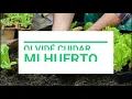 OLVIDE CUIDAR MI HUERTO Letra   Jesús Adrian RomeroOrigen y esencia