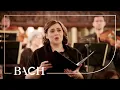 Download Lagu Bach - cantate Christ lag in Todesbanden BWV 4 - Jacobs | Nederlandse Bachvereniging