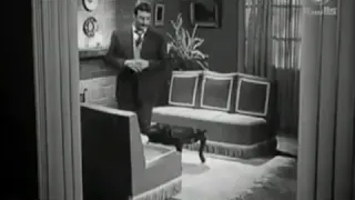 حبك جاننا يااسمك ايييه  شاديه دندنها