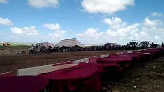 قرصة رائعة من ابن عبدالعزيز الدباغ  من مهرجان الديخة دندنها
