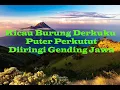 Lagu SUARA PENYEJUK JIWA (KICAU BURUNG DERKUKU PUTER PERKUTUT DIIRINGI GENDING JAWA)