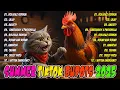 Download Lagu 🇵🇭 [ NEW ] Disco Budots Banger Remix Nonstop Dance Party Remix 2025🧃