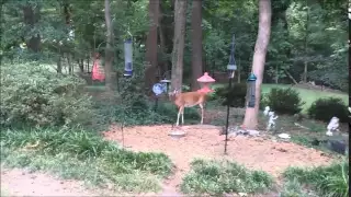 Feeding Time Part 1